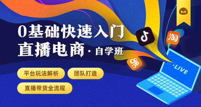 0基础快速入门直播电商课程：直播平台玩法解析-团队打造-带货全流程等环节-第一资源网