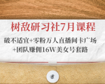 树敌研习社7月课程:破不适宜+零粉万人直播间卡广场+团队赚佣16W美女号套路-第一资源网