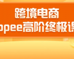 2020跨境电商蓝海新机会-SHOPEE大卖特训营:高阶终极课程(16节课)-第一资源网