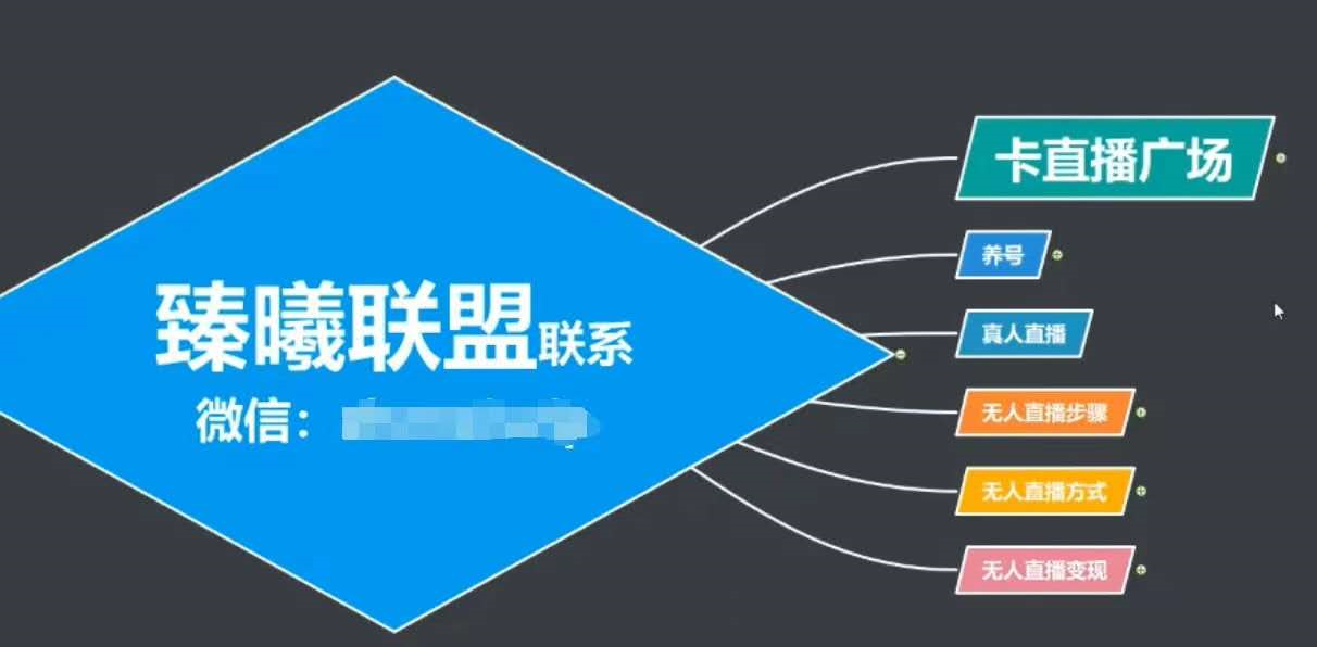 臻曦联盟，最新无人直播万人在线技术理原及详细操作步骤解析（视频教程）-第一资源网