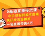0基础直播带货课:小白也能低成本搭建疯狂卖货直播间:1场直播带货6万-第一资源网