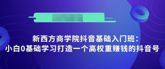 抖音基础入门班：小白0基础学习打造一个高权重赚钱的抖音号-第一资源网