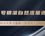 垂直起号精准自然流量连爆玩法,精准引流暴力变现月入10000+-第一资源网
