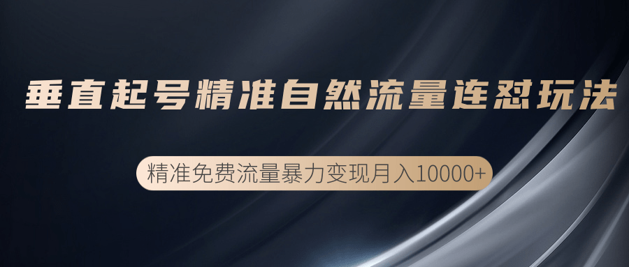 垂直起号精准自然流量连爆玩法，精准引流暴力变现月入10000+-第一资源网