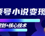 柚子微信视频号小说变现项目,全新玩法零基础也能月入10000+【核心技术】-第一资源网