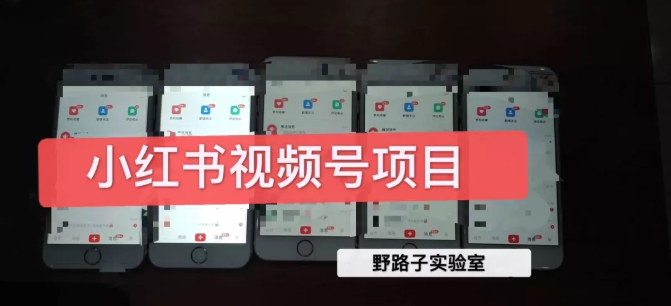 野路子小红书视频号1.0项目，直接上手操作就能赚钱的视频号项目-第一资源网
