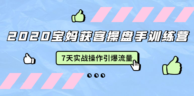 2020宝妈获客操盘手训练营：7天实战操作引爆 母婴、都市、购物宝妈流量-第一资源网