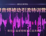 黄岛主·FM音频引流特训营2.0:独家引流模式,单账号50W+播放量,轻松变现-第一资源网