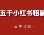 月入五千小红书粗暴赚钱玩法,适合上班族的赚钱副业-第一资源网