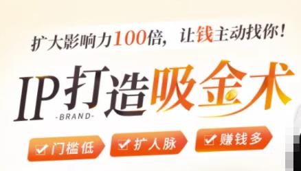 IP打造吸金术：0基础0资源，也能扩大影响力100倍，让钱主动找你！-第一资源网