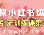 狼叔小红书爆款推广引流训练课第12期，手把手带你玩转小红书-第一资源网
