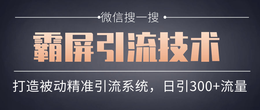 微信搜一搜霸屏引流技术，打造被动精准引流系统，轻松日引300+流量-第一资源网