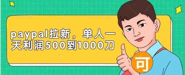 Paypal拉新赚美刀项目，单人一天利润500-1000刀【视频课程】-第一资源网