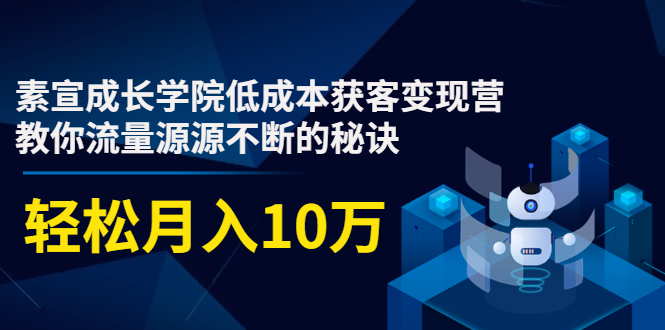 素宣成长学院低成本获客变现营，教你流量源源不断的秘诀，轻松月入10万-第一资源网