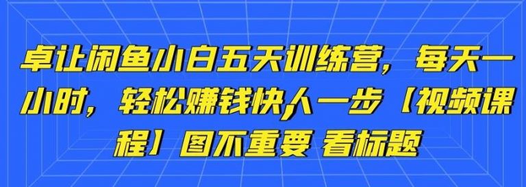 卓让闲鱼小白五天训练营，每天一小时，轻松赚钱快人一步-第一资源网