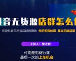 蟹老板·抖音无货源店群怎么做,吊打市面一大片《抖音无货源店群》的课程-第一资源网