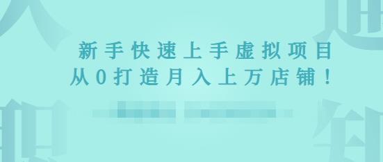 2022年虚拟项目实战指南，新手从0打造月入上万店铺-第一资源网