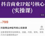 抖音商业IP起号核心实操课,带你玩转算法,流量,内容,架构,变现-第一资源网