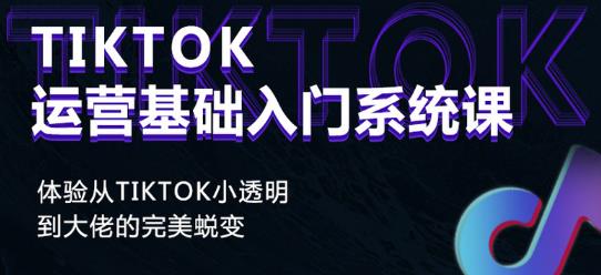 Tiktok实操进阶课程，体验从tiktok小透明到大佬的完美蜕变-第一资源网
