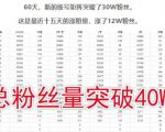 倪叶明·蓝海公众号矩阵项目训练营,0粉冷启动,公众号矩阵账号粉丝突破30w-第一资源网