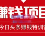 懒人领域·今日头条项目玩法,头条中视频项目,单号收益在50—500可批量-第一资源网
