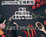 漆十二美食摄影,25节promovie实操高手课节-第一资源网