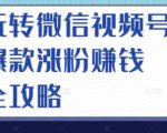 玩转微信视频号爆款涨粉赚钱全攻略,让你快速抓住流量风口,收获红利财富-第一资源网