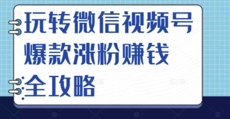 玩转微信视频号爆款涨粉赚钱全攻略，让你快速抓住流量风口，收获红利财富-第一资源网