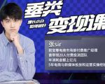 张sir·垂类变现课,抖音带货新手才看粉丝量,高手都看变现效率-第一资源网