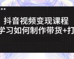 抖音短视频变现课程:带你学习如何制作带货+打造IP【41节】-第一资源网