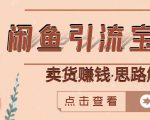 闲鱼引流宝妈粉+卖货赚钱一个月收益30000+(实操视频教程)-第一资源网