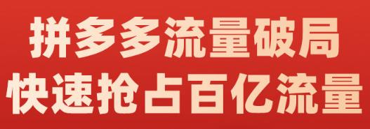 阿杰·拼多多流量破局:如何打黑标，爆款的思路，拼多多流量框架，快速抢占百亿流量-第一资源网
