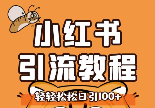 小红书运营引流全系列课程，每天引流100精准粉-第一资源网