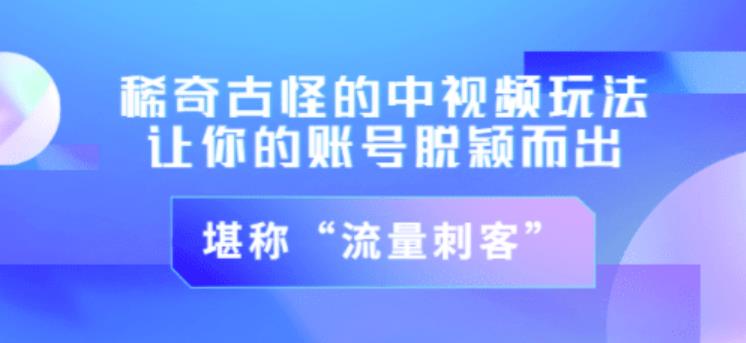 不讲李·稀奇古怪的冷门中视频冷门玩法，让你的账号脱颖而出，成为流量刺客！（图文+视频）-第一资源网