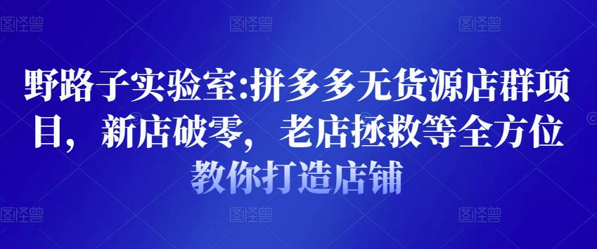 野路子实验室:拼多多无货源店群项目，新店破零，老店拯救等全方位教你打造店铺-第一资源网