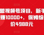 猎人联盟视频号项目,新手0基础轻松月赚10000+,保姆级教程原价4988元-第一资源网