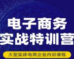 民赛电气内部出品：电子商务实战特训营，全方位带你入门电商，308种方式玩转电商-第一资源网
