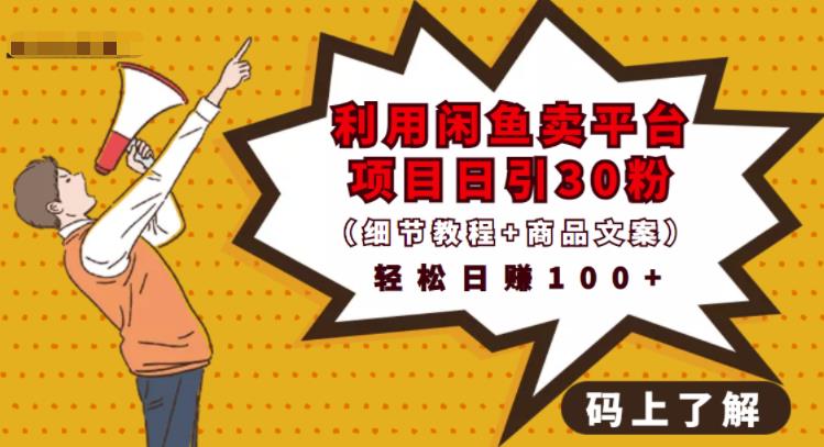 利用闲鱼卖平台项目课程资源日引流30+精准粉丝，轻松日赚100+，积累人脉可实现二次变-第一资源网