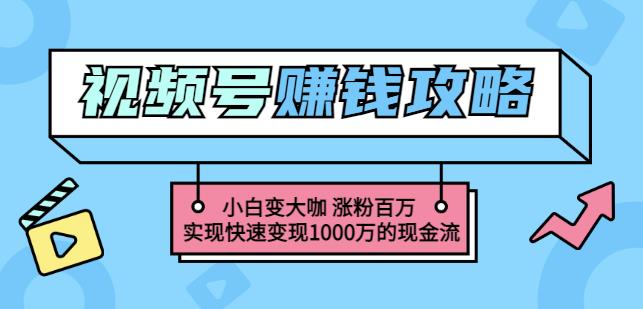 玩转微信视频号赚钱：小白变大咖涨粉百万实现快速变现1000万的现金流-第一资源网