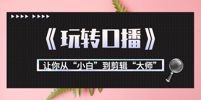 月营业额700万+大佬教您《玩转口播》让你从“小白”到剪辑“大师”-第一资源网