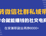 玩转微信社群私域带货,学会就能赚钱的社交电商,在家兼职副业再挣8000+-第一资源网