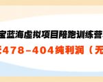 淘宝蓝海虚拟项目陪跑训练营5.0:单天478纯利润-第一资源网