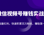 微信视频号赚钱实战:抓住流量红利,快速积累百万粉丝,赚取你的第一桶金-第一资源网
