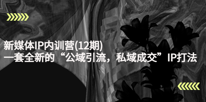 新媒体IP内训营(12期)，一套全新的“公域引流，私域成交”IP打法，直接带走-第一资源网