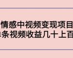 副业孵化营第5期:抖音情感中视频变现项目孵化 单条视频收益几十上百-第一资源网