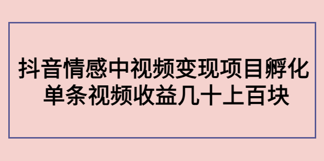 副业孵化营第5期：抖音情感中视频变现项目孵化 单条视频收益几十上百-第一资源网