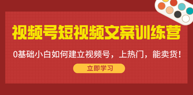 视频号短视频文案训练营：0基础小白如何建立视频号，上热门，能卖货！-第一资源网