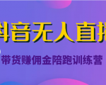 抖音无人直播带货赚佣金陪跑训练营(价值6980元)-第一资源网