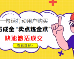 点石成金“卖点炼金术”一句话打动用户购买,快速激活成交!-第一资源网