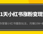21天小红书涨粉变现营(第4期):带你掌握小红书爆款玩法,月赚10W+秘密-第一资源网